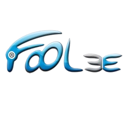 Logo Foolee