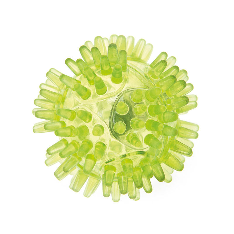 Photo du produit de référence : IJFBL384