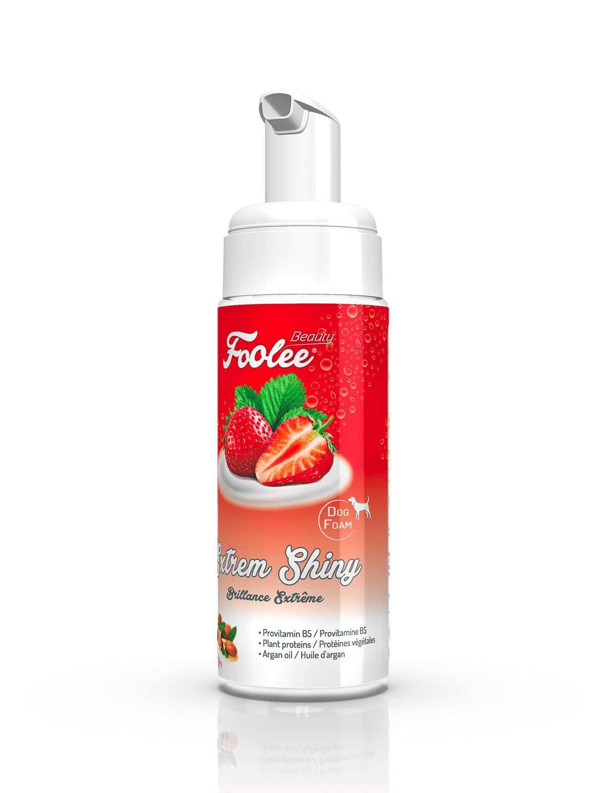 Photo du produit de référence : SFB1B001