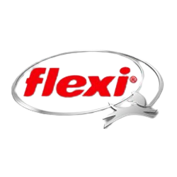 Logo Flexi