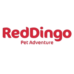 Logo Red Dingo