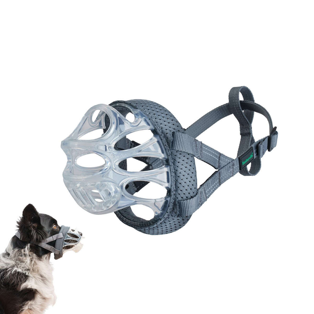 Photo du produit de référence : ABI2M201
