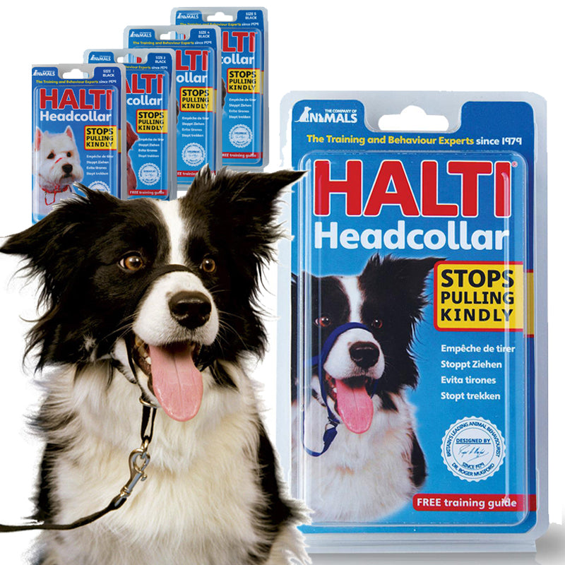 Photo du produit de référence : AH4N202