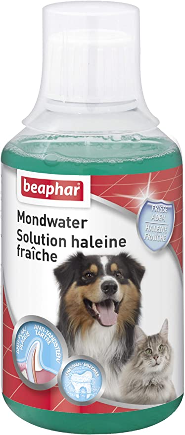 Photo du produit de référence : BHDSH082