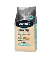Photo du produit de référence : OJFASP122