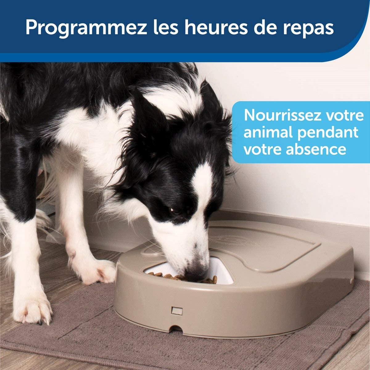 Photo du produit de référence : PEDA017