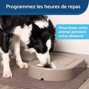 Photo du produit de référence : PEDA017