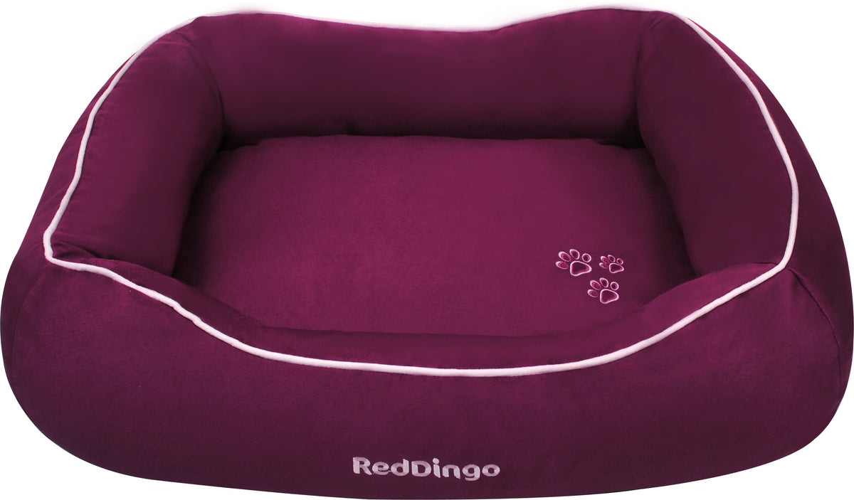 Photo du produit de référence : RDSP964
