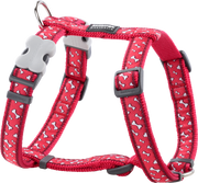Photo du produit de référence : RHLIFBR596