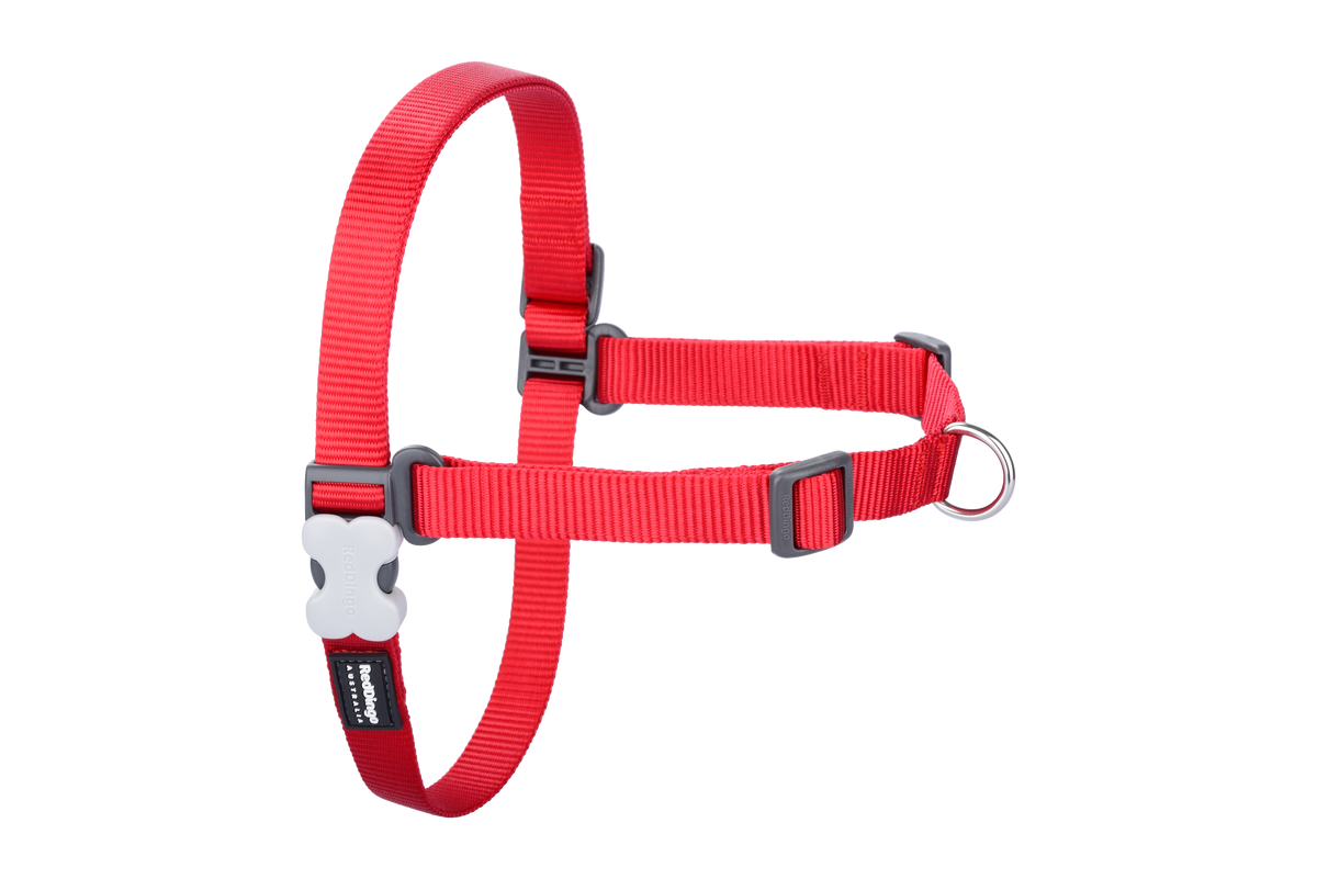 Photo du produit de référence : RHXUTRO891