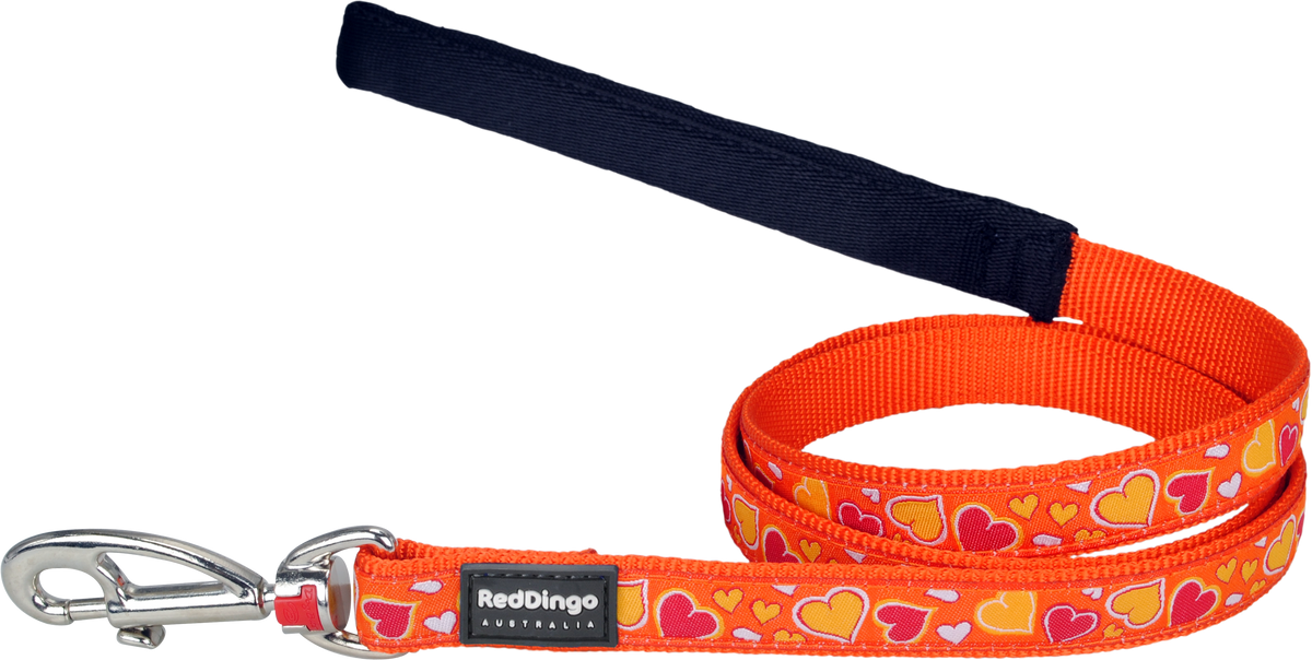 Photo du produit de référence : RLLBLO337