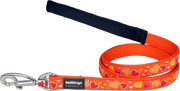 Photo du produit de référence : RLSBLO508